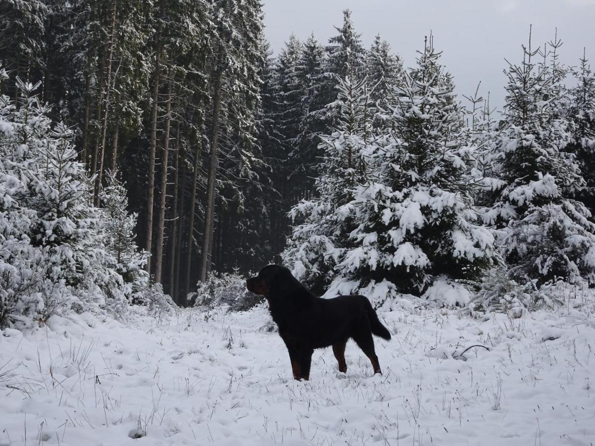 Urlaub Mit Hund Auf Dem Bauernhof Hofswald Apartment Euscheid Exterior photo